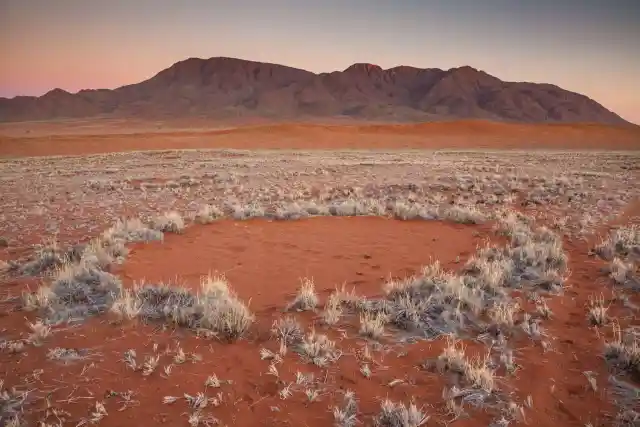 Namibia’s Fairy Circles