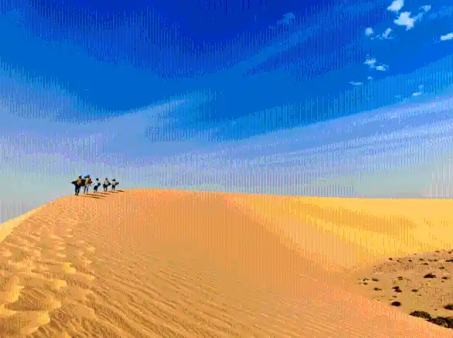 Sand Surf In The Sahara Desert