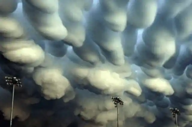 The Cotton Clouds