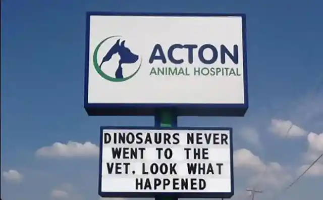 #28. Look What Happened To Dinosaurs