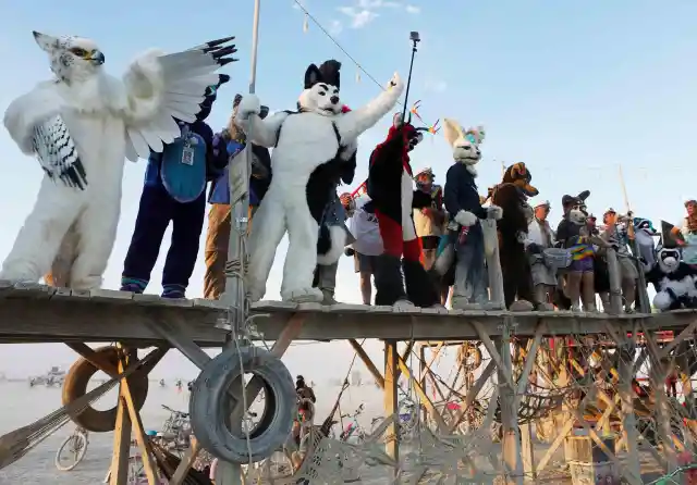 Attack Of The Furries