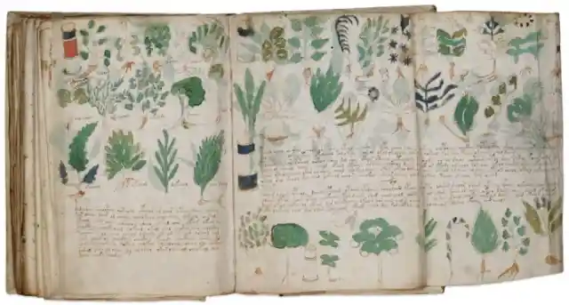 The Voynich Manuscript