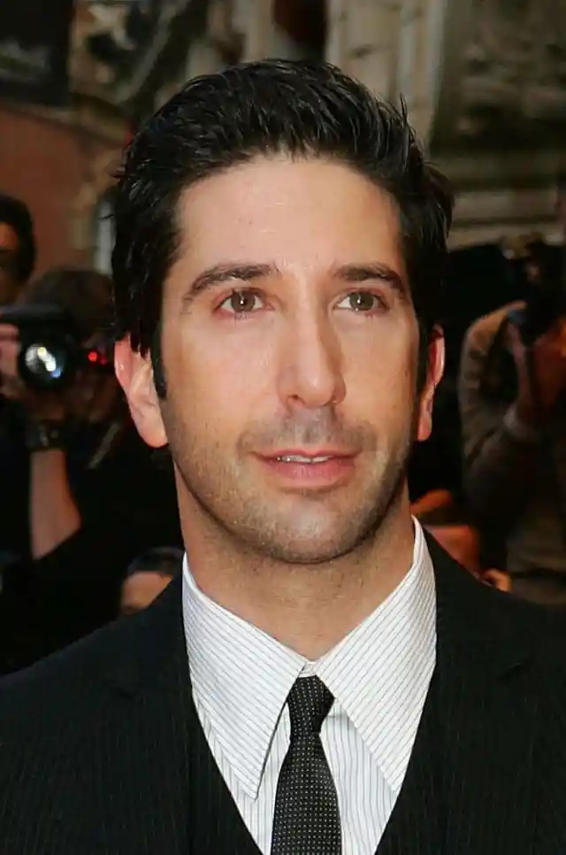 David Schwimmer: Arts