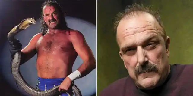 Jake Roberts