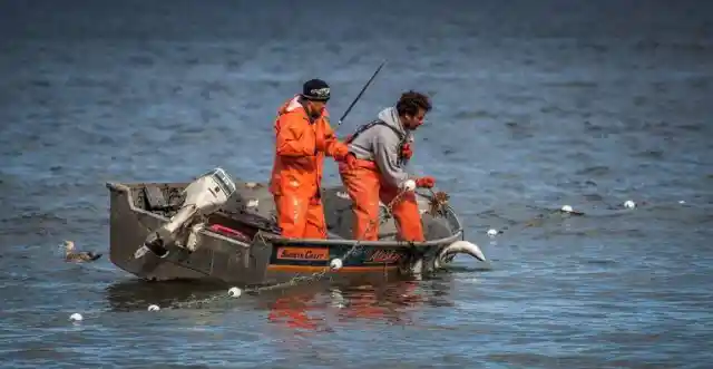 Friends Fishing In A River Find This Rare Creature