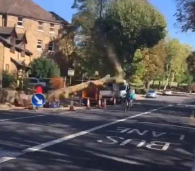 #6. Cyclist Almost Crushed By Tree