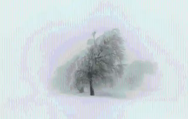 Ghostly Snowstorm