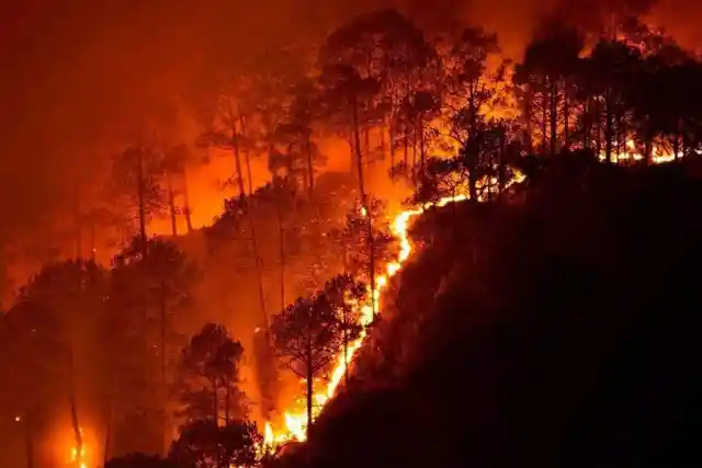 #8. A Massive Wildfire