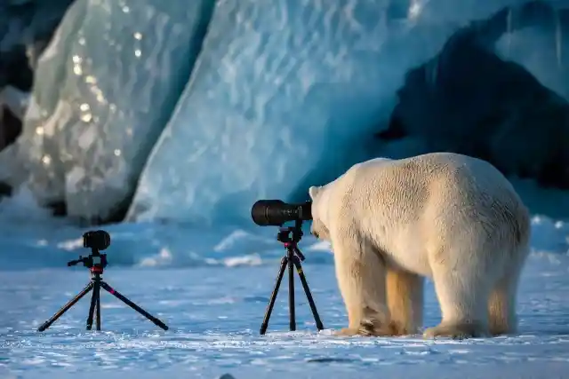 These Mind-Blowing Safari Pictures Will Leave You Breathless