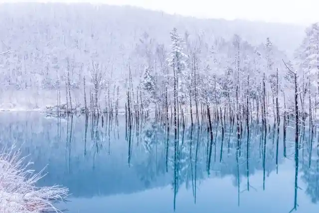 Blue Pond, Hokkaido, Japan
