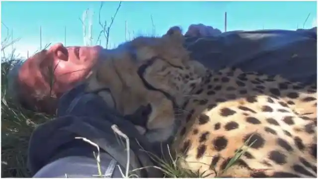 How A Man And A Cheetah Became Best Friends