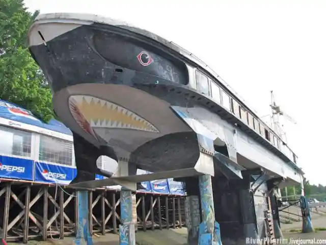 Shark Bar, Russia