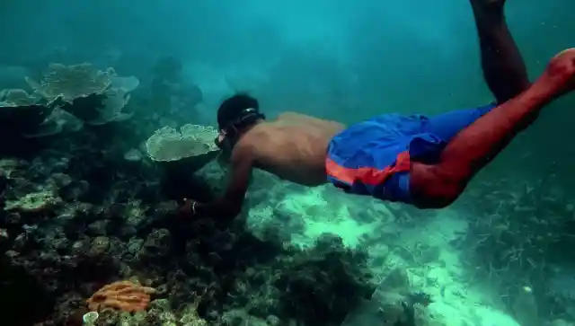 The People Of This Tribe Spend Most Of Their Day Underwater