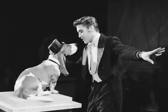 #17 - Hound Dog - Elvis Presley