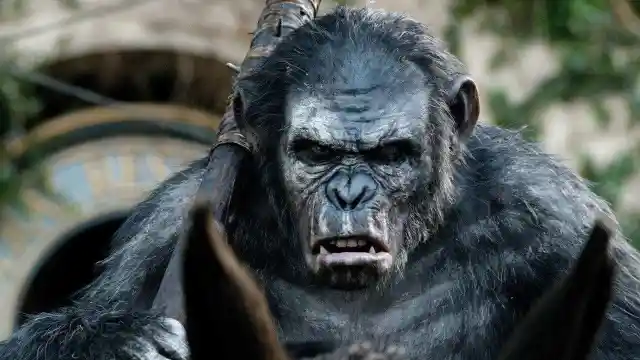 #14. The Planet of the Apes Series