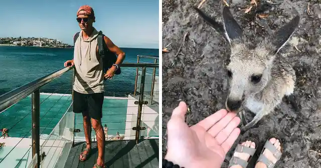 Drunk Man Adopts Baby Kangaroo, But Noticed It Weeks Later!