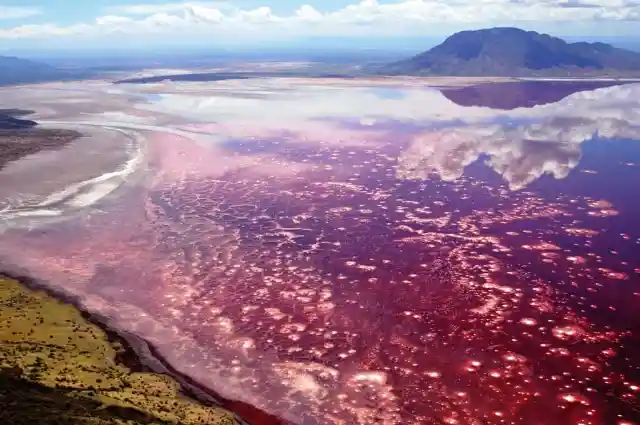 Lake Natron