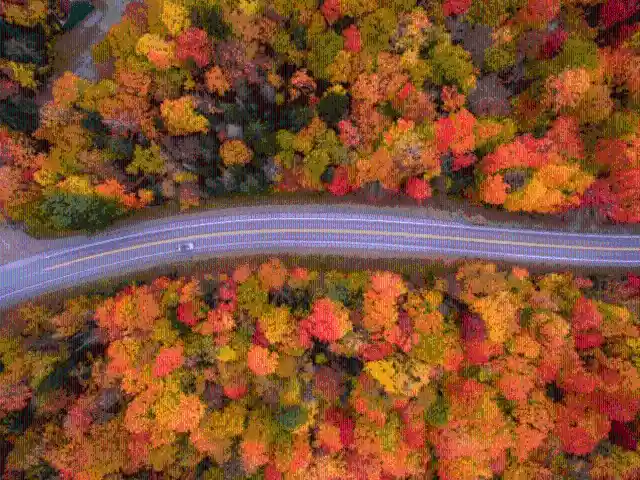 New Hampshire, U.S
