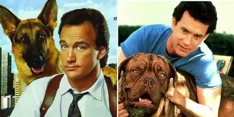 Turner And Hooch & K-9