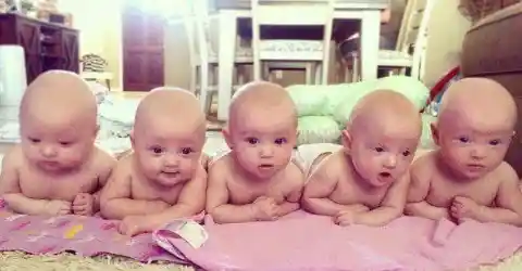 The Statistics Of Quintuplets