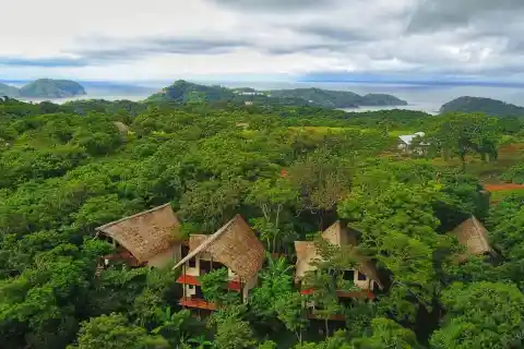 TreeCasa Resort
