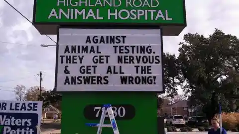 #14. Against Animal Testing