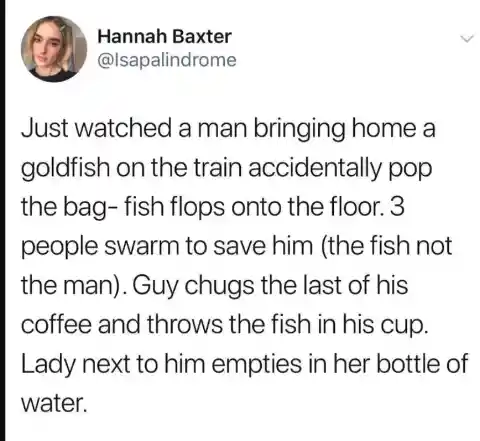 The Goldfish Rescue Crew