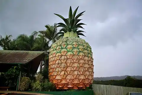 The Pineapple, Australia