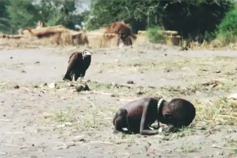 The Vulture And The Little Girl, 1994