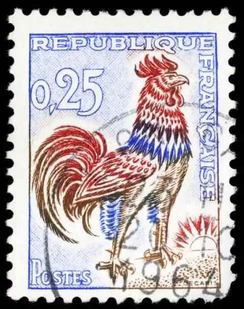 France – Gallic Rooster