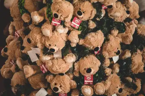 A Family Of Bears