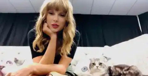 Meredith Swift