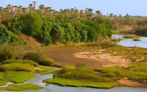Nikolo-Koba National Park, Senegal