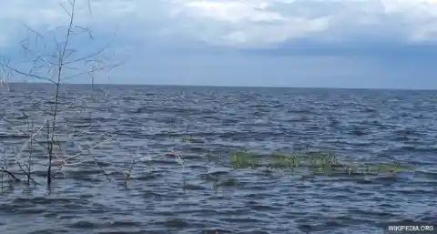 Hundreds Of Skulls Were Found In A Lake