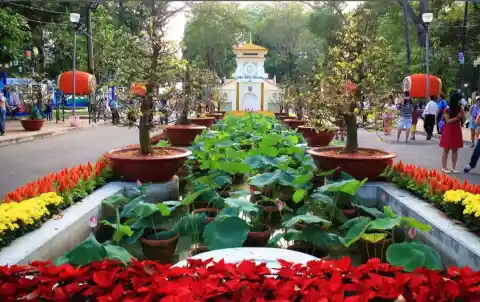 Tao Dan Park, Ho Chi Minh City, Vietnam