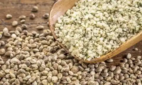 #23. Hemp Seed