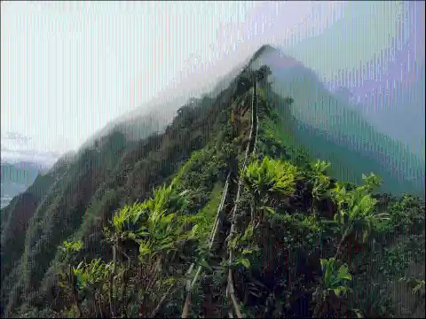 Stairway To Heaven In Hawaii